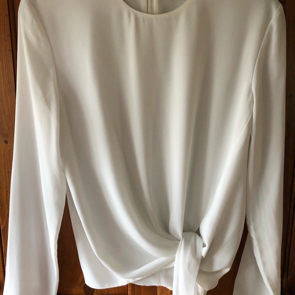Aritzia Babaton Blouse - Picture 2 of 5